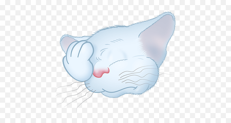 White Cat Emoji - Asian,White Cat Emoji