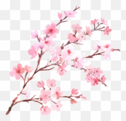 To - Clipart Cherry Blossoms Png Emoji