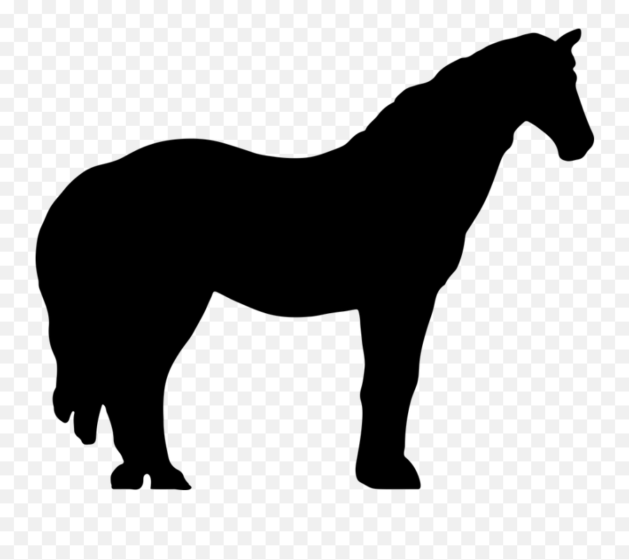 Free Equine Horse Vectors - Cane Corso Clipart Transparent Emoji,Chestnut Emoji