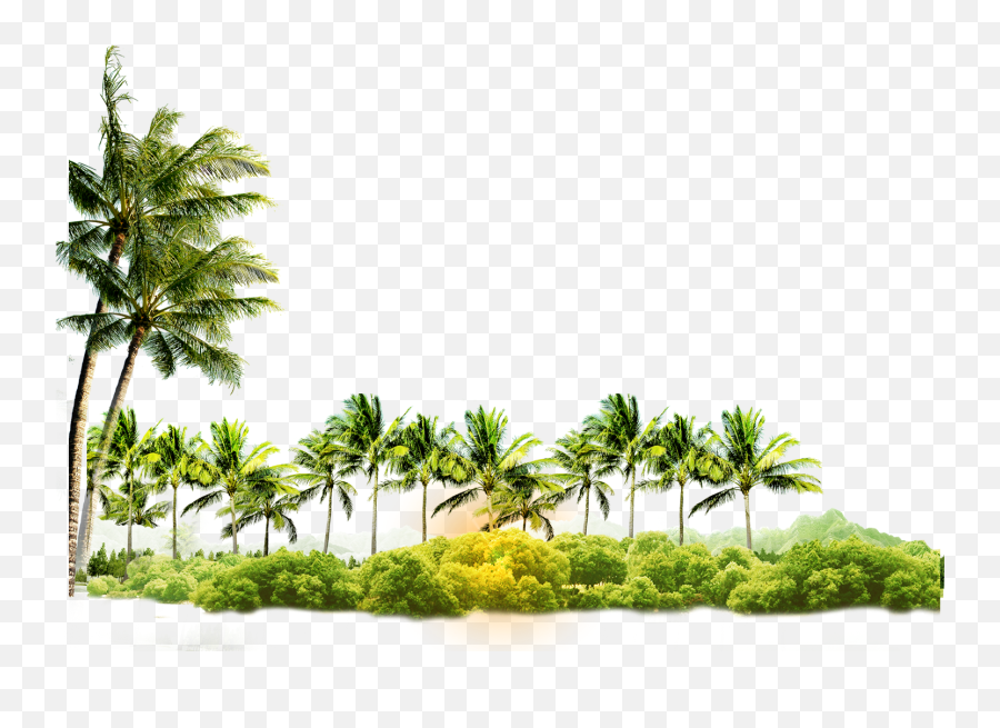 Download Arecaceae Coconut Tree Icon Free Photo Png Clipart - Coconut Tree With Coconut Png Emoji,Palm Tree Emoticons