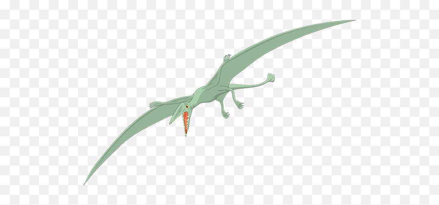 Free Pterodactyl Dinosaur Images - Dinosaur No Background Pterodactyl Emoji,Pterodactyl Emoji