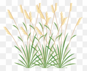 Icon 2 Weeds - Grass Png Transparent Cartoon Emoji