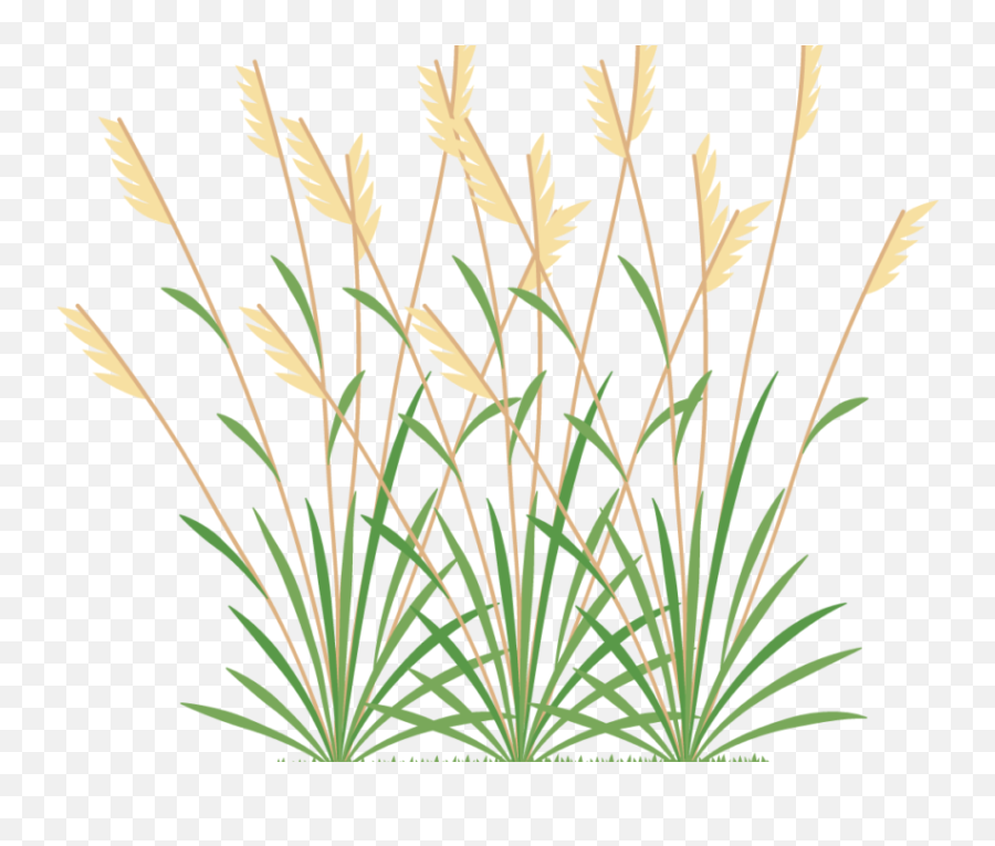 Icon 2 Weeds - Weed Grass Icon Png Transparent Cartoon Weeds Png Emoji,Steam Weed Emoticon