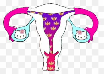 Transparent Drake Gif - Hello Kitty Stickers Emoji