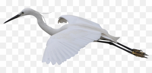 Crane Gratis Transprent Png - Crane Emoji,Crane Emoji
