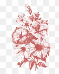 Flower Illustration Png Transparent - Transparent Flower Illustrations Png Emoji,Flower Emoji Vector