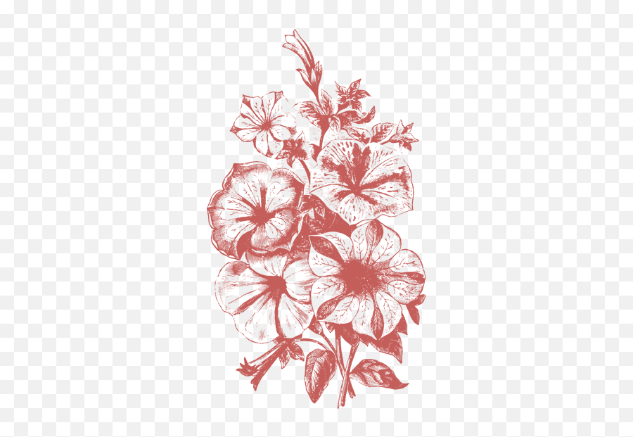 Flower Illustration Png Transparent - Transparent Flower Illustrations Png Emoji,Flower Emoji Vector