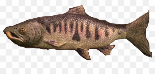 Salmon Fish Swimfreetoedit - Sticker By Laura P Snapper Emoji,Salmon Emoji