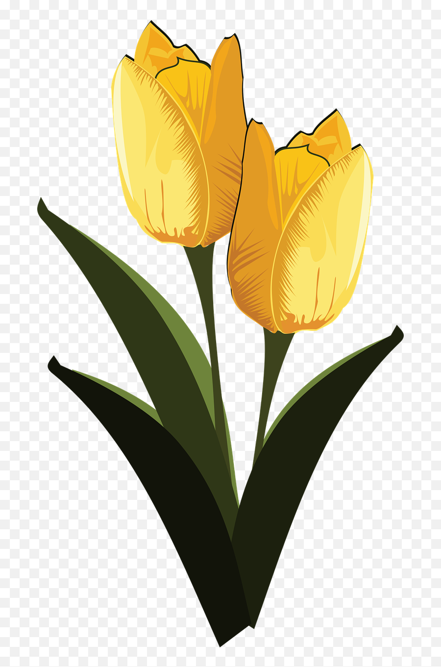 Clip Art Flor Flora Flower Png Image - Tulip Transparent Png Two Tulips Red Paint Emoji,Tulip Emoji