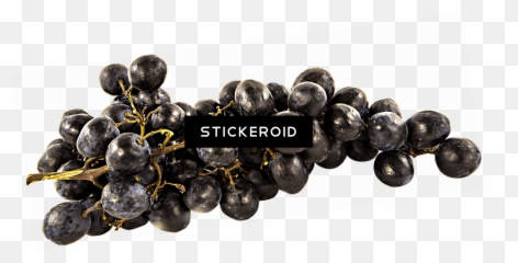 Grape Clipart - Emoji