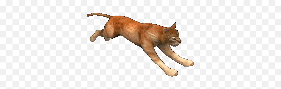 Emoji Sticker - Cat Jumps,Cougar Emoji