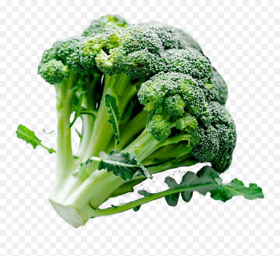 Brócoli Broccoli Vegetables - Broccoli Emoji,Broccoli Emoji