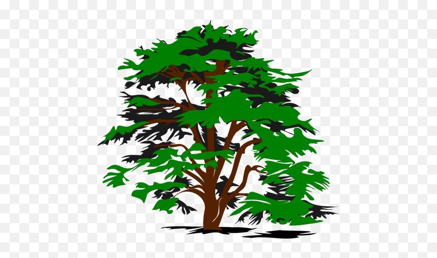 Simple Vector Tree - Cedar Tree Clip Art Emoji,Falling Star Emoji