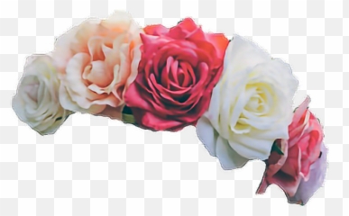 Coronas De Flores Png - Aesthetic Flower Crown Transparent Emoji