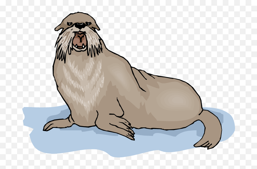 Walrus Background Png Clipart - California Sea Lion Emoji,Walrus Emoji