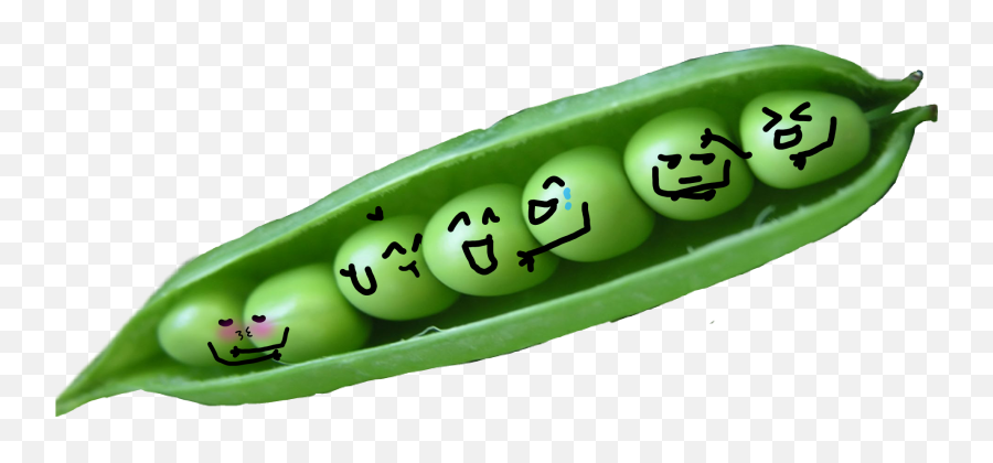 Peas Peasinapod Laughing Mad Lmao - Snap Pea Emoji,Mad Laughing Emoji