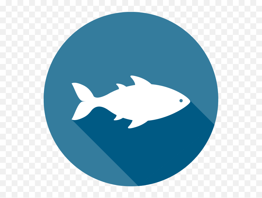 Download Blue Icon Of A Fish - Seafood Icon Png Full Size Vector Sea Food Png Emoji,Seafood Emoji