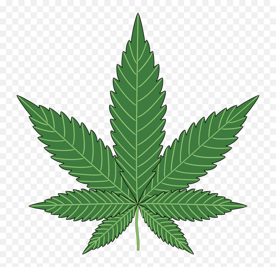 Pot Leaf Transparent Png Clipart Free Download - Marijuana Png Emoji,Pot Leaf Emoji