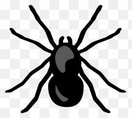 Mixed Clip - Transparent Background Spider Clipart Png Emoji,Bug Emojis