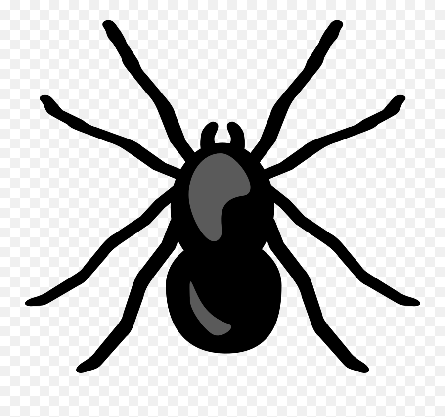 Mixed Clip - Transparent Background Spider Clipart Png Emoji,Bug Emojis