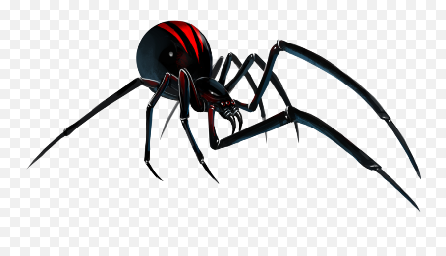 Black Widow Spider - Black Widow Spider Png Emoji,Black Widow Emoji