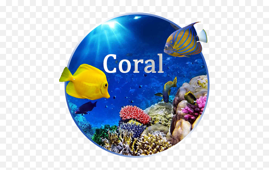 Amazoncom Coral Reef Live Wallpaper Appstore For Android - Iphone 5 Natureza Emoji,Coral Emoji