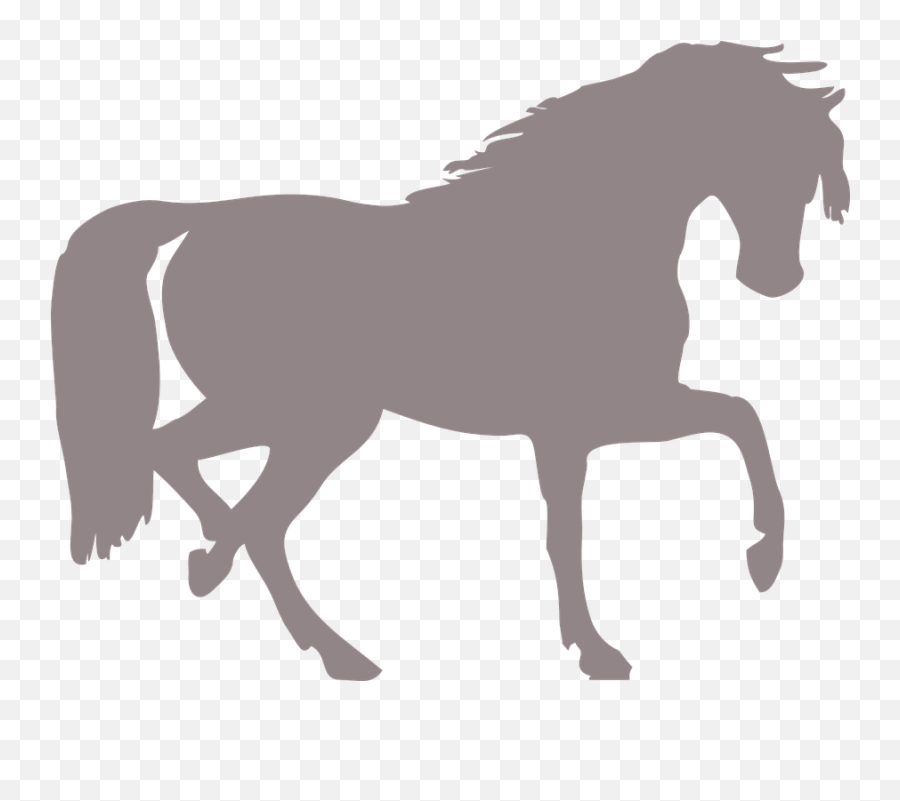 Free Equine Horse Vectors - Black Horse Png Clipart Emoji,Chestnut Emoji