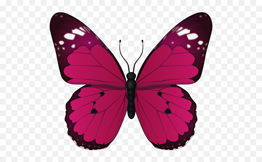 Pink And Purple Butterfly - Butterfly Emoji Png,Butterfly Emoji