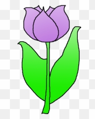 Image Of Tulip Free Download Clip Art On - Clipartix Simple Flower Clipart Tulip Emoji,Tulip Emoji