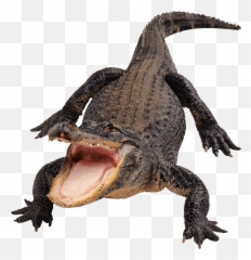 Vector Alligator Black Transparent - Png Emoji