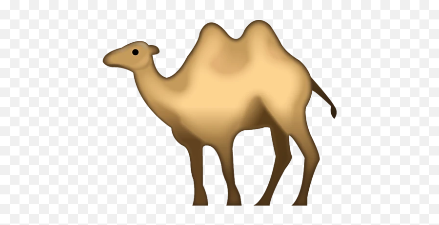 Camel Emoji - Camel Emoji Png,Bucket Emoji