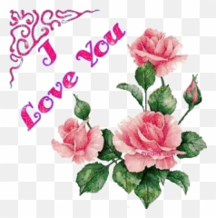 Comment Gif I Love You PicGifscom - Hummingbird And Rose Painting Emoji