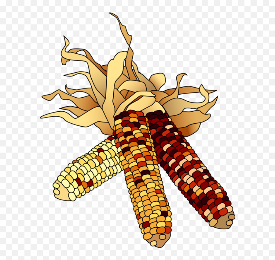 Indian Corn Clipart - Clipartix Indian Corn Clip Art Emoji,Emoji Corn