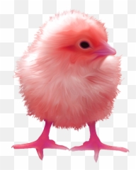 Categoryagender Surreal Memes Wiki Fandom - Surreal Memes Chick Emoji,Moyai Emoji Meme