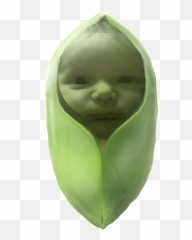 Popular And Trending Peapod Stickers - Carving Emoji,Peapod Emoji