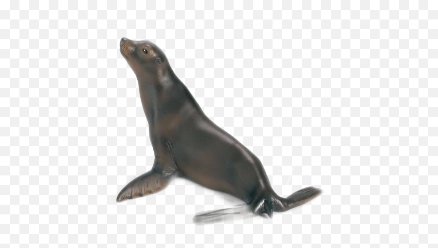 Foca - Sea Lion Emoji,Sea Lion Emoji