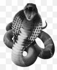 Snake Png And Vectors For Free Download - Viper Emoji
