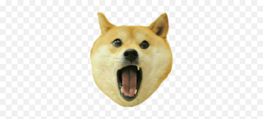 Search Results For Shiba Inu Png Hereu0027s A Great List Of - Shiba Png Emoji,Doge Emoji