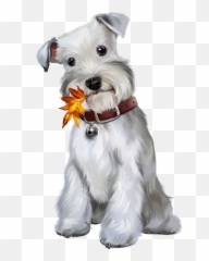 Husky Clipart Gray Dog Picture 1385640 Husky Clipart Gray Dog - Schauzer Png Emoji,Schnauzer Emoji