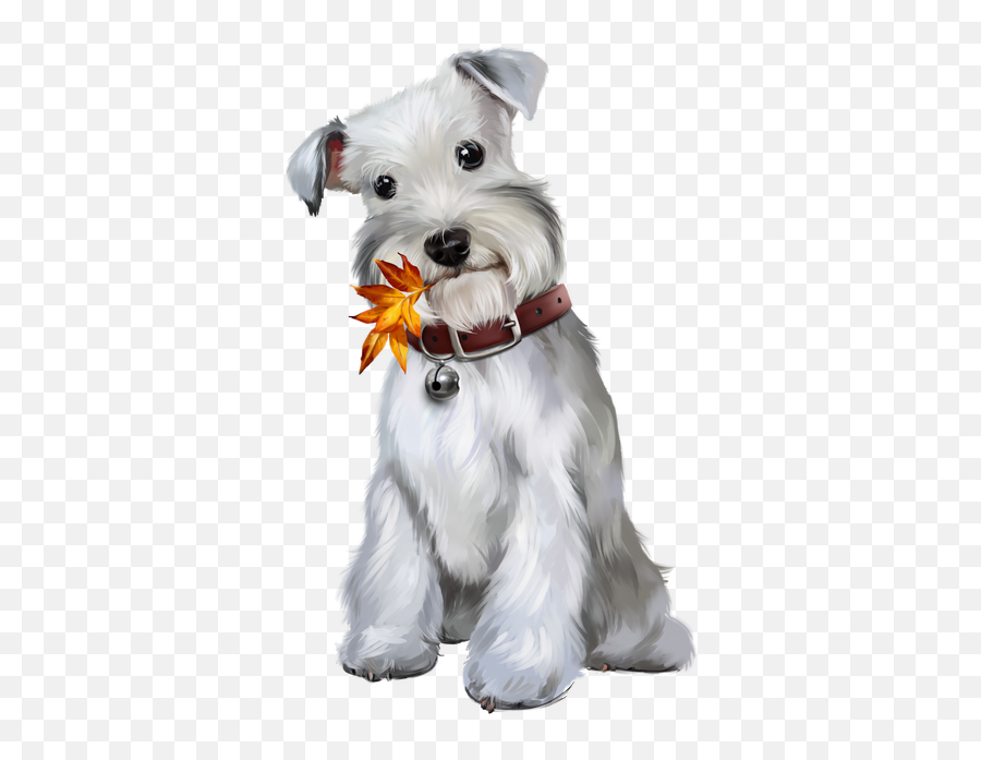 Husky Clipart Gray Dog Picture 1385640 Husky Clipart Gray Dog - Schauzer Png Emoji,Schnauzer Emoji