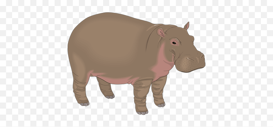 Free Aggressive Aggression Vectors - Hippopotamus Clipart Emoji,Hippo Emoticon