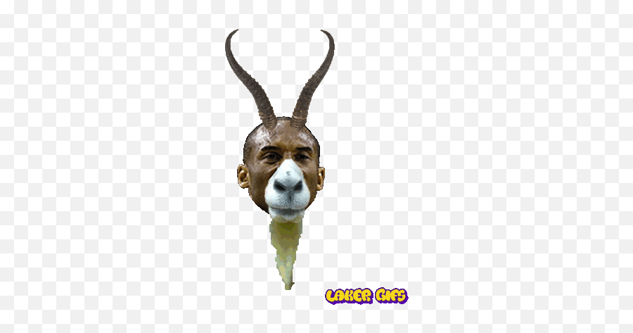 Kobe Bryant Is The Goat - Goat With Kobe Face Emoji,Goat Emoticons