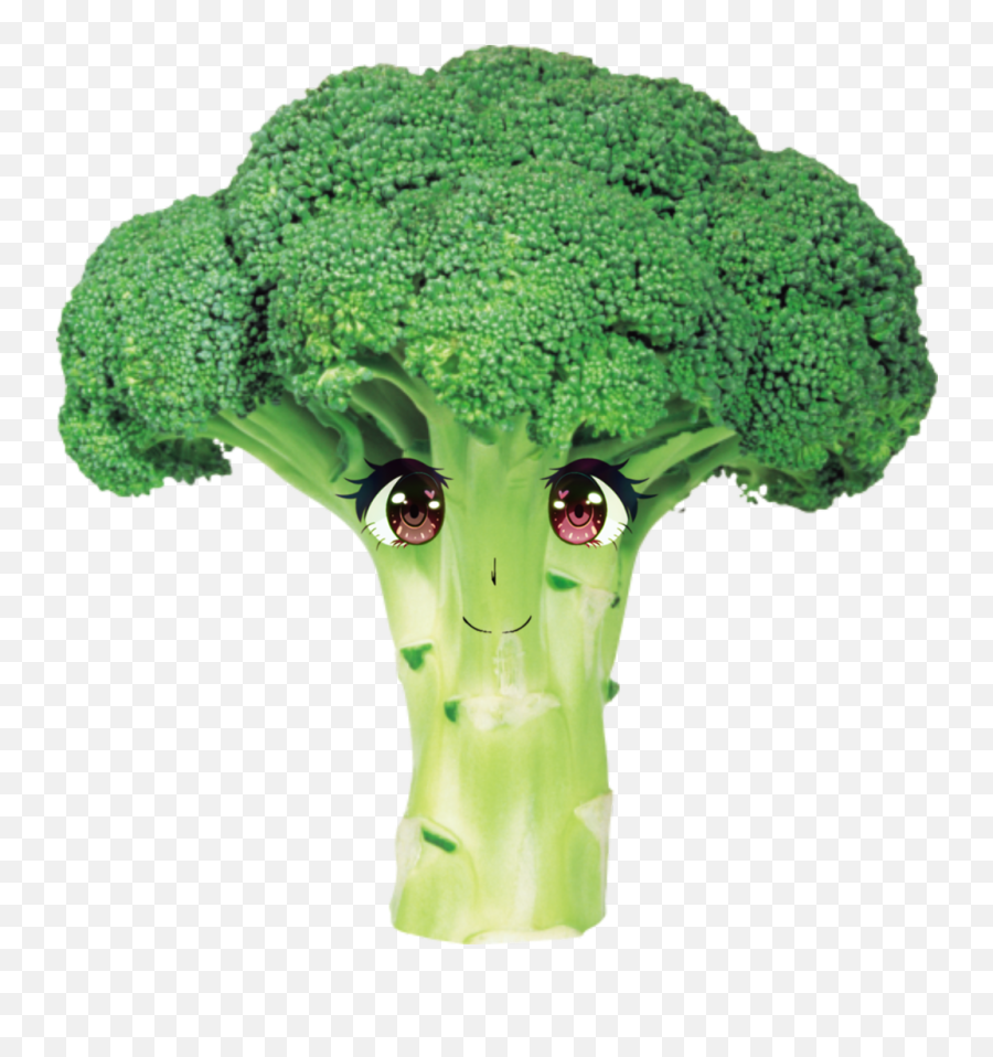 Anime Broccoli Funny Bored - Transparent Background Broccoli Clipart Emoji,Broccoli Emoji