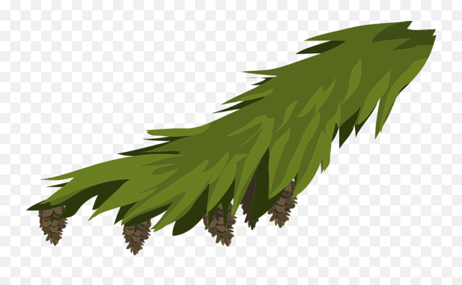 Free Pinecone Pine Images - Hoja De Pino Png Emoji,Fallen Leaf Emoji