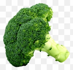Broccoli Clipart Broccoli Transparent Free For Download - Clipart Images Of Broccoli Emoji,Broccoli Emoji