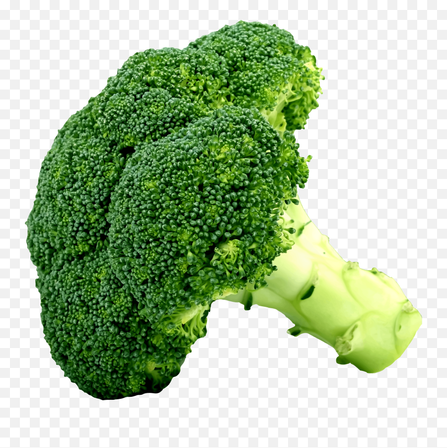 Broccoli Clipart Broccoli Transparent Free For Download - Clipart Images Of Broccoli Emoji,Broccoli Emoji