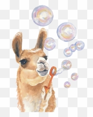 Watercolor Alpaca Llama Bubbles Blowing - Painting Emoji