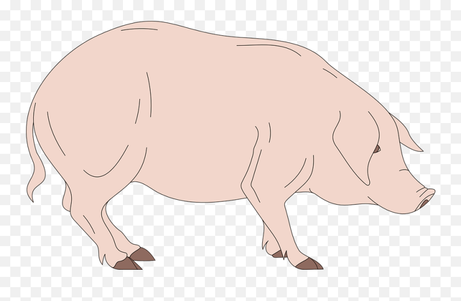 Barn Pig Side - Animal Side Views Emoji,Pig Money Emoji