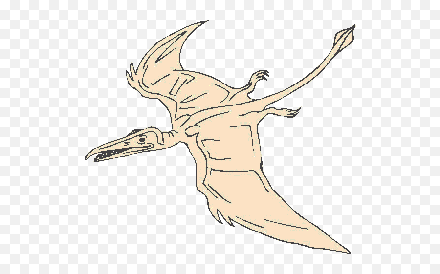 Fossil Clipart Pterodactyl Fossil - Did Pterodactyls Had A Tail Emoji,Pterodactyl Emoji