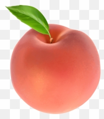 Transparent High Quality Peach Emoji Png,Peach Emoji Png
